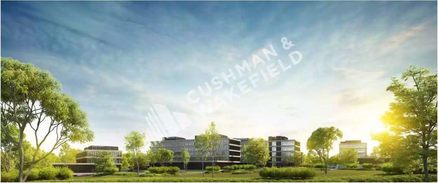 DRIE LINDEN 2