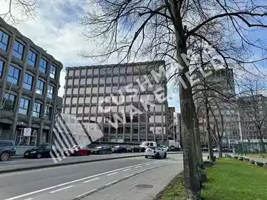 F_PIC1