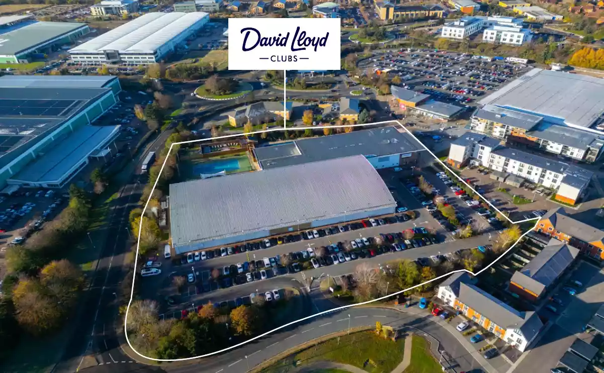 David Lloyd