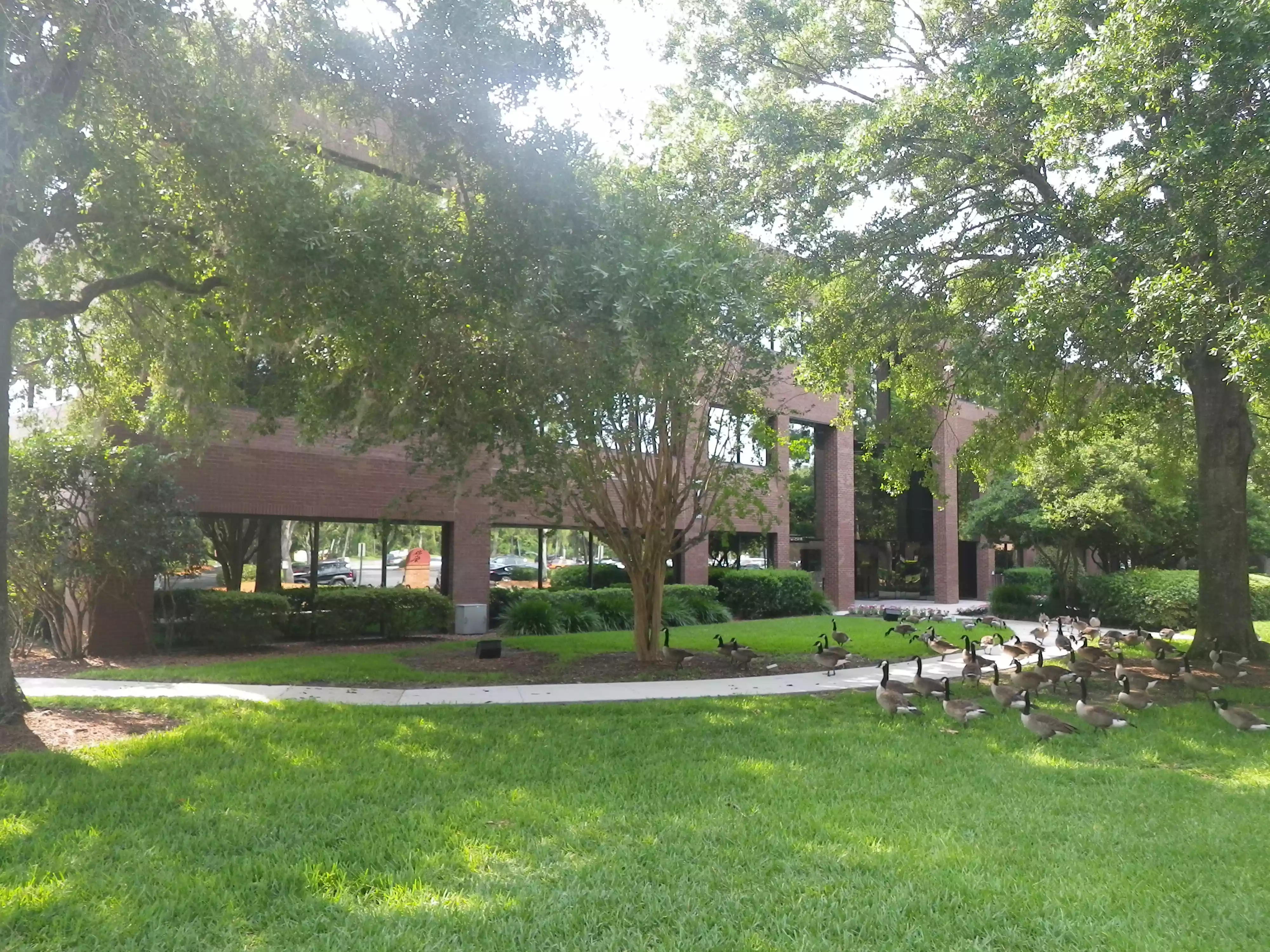 Spring Lake Business Center 7