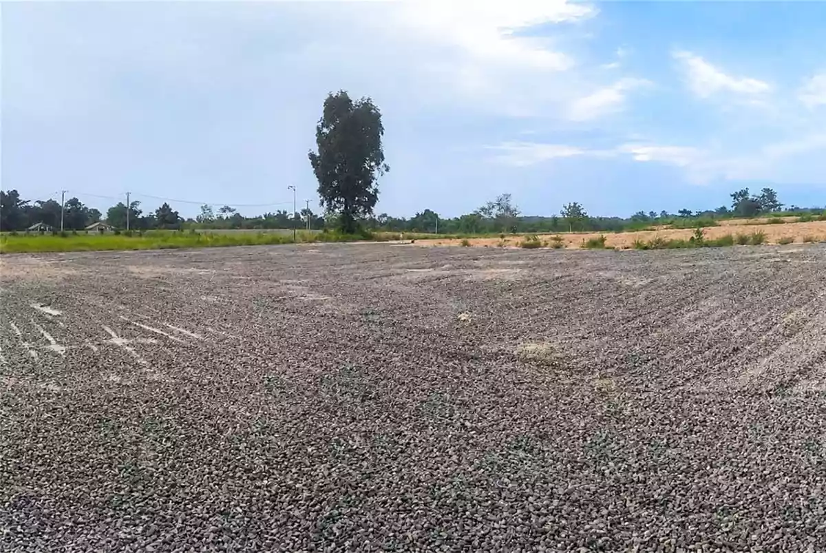Site Interior