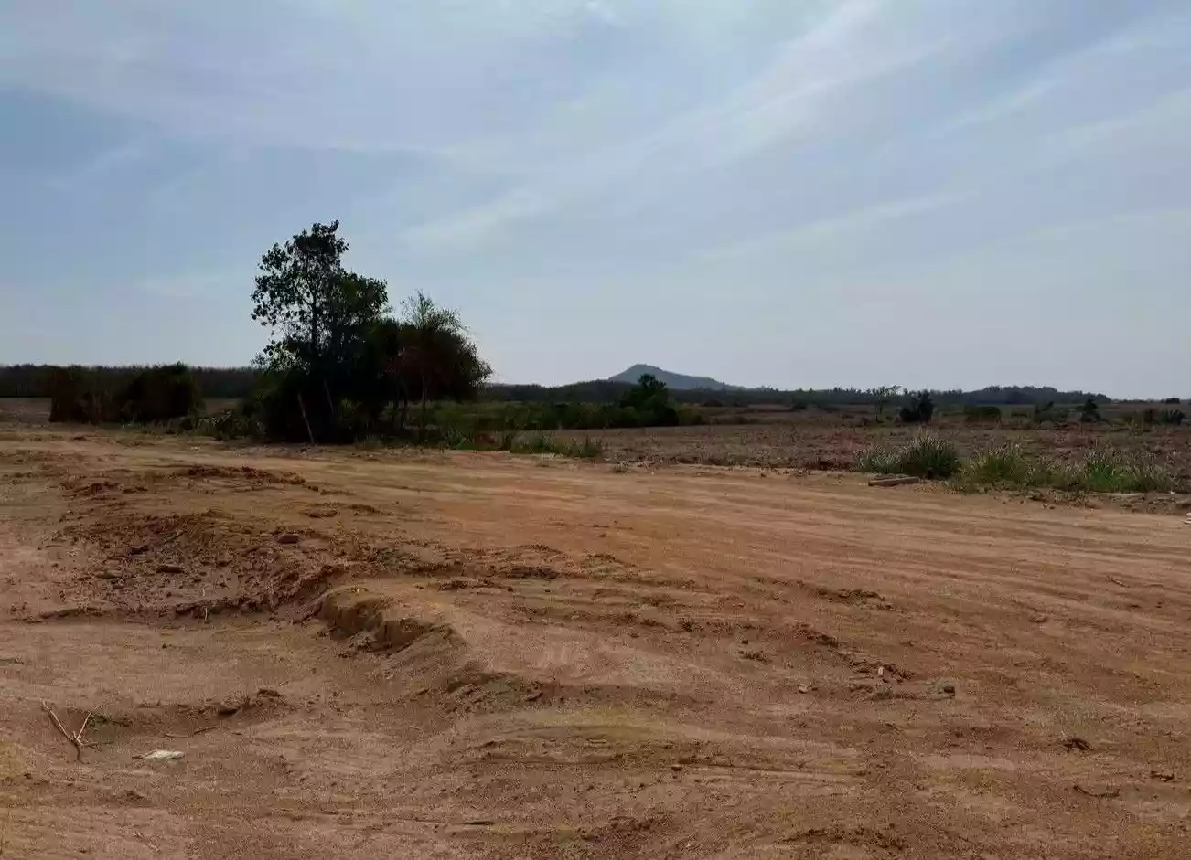 #Land
