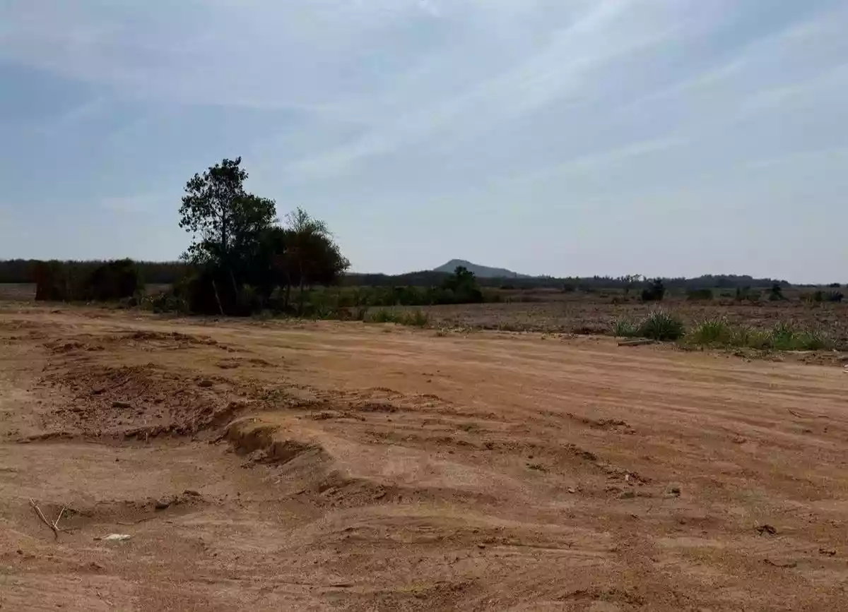 #Land