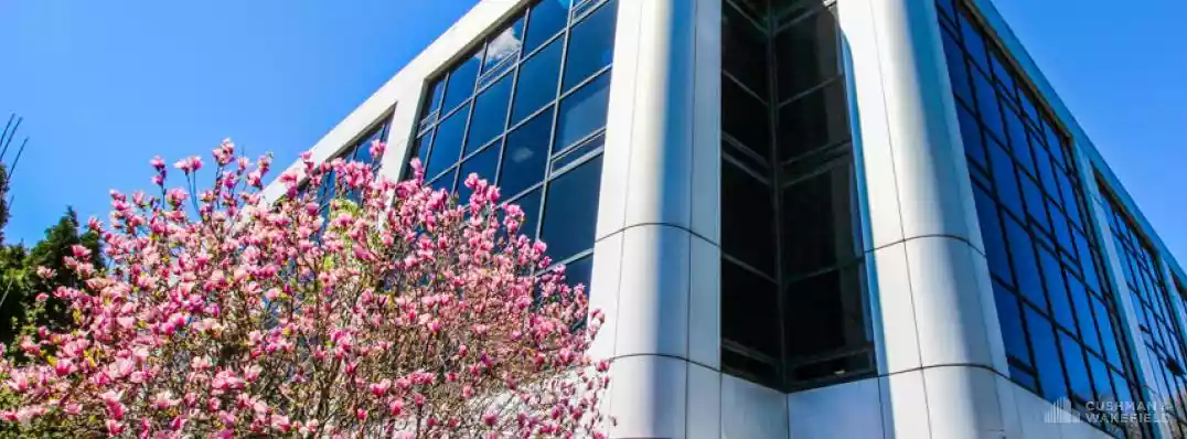 White Plains - Office