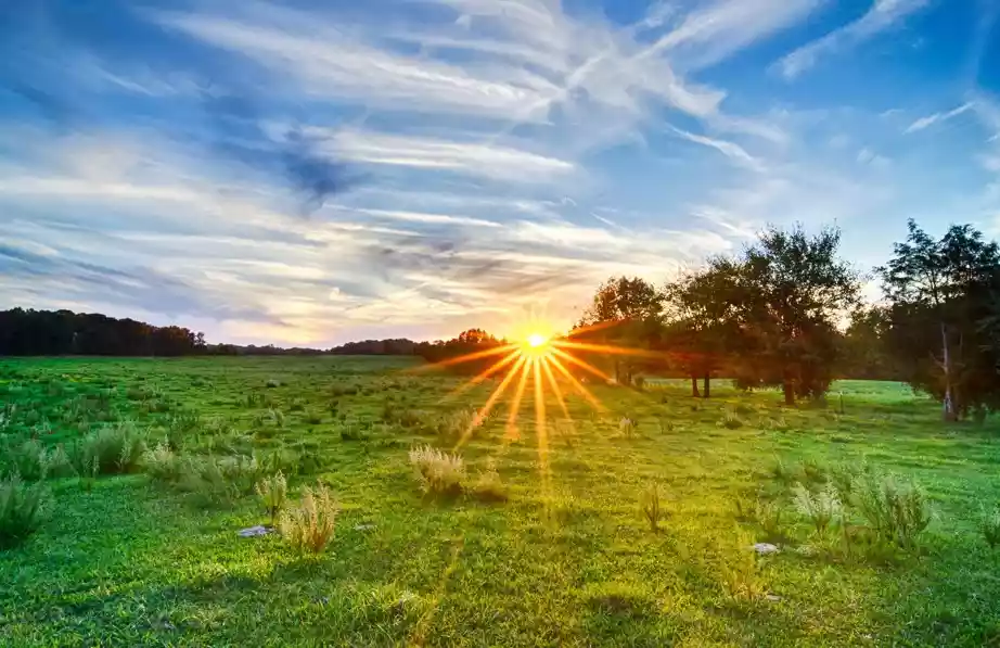 Royalton Road LAND (20.19 AC)