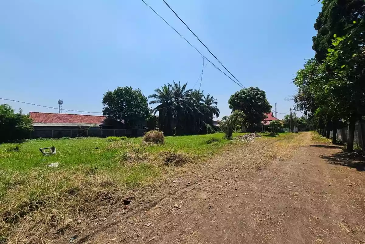Access Road