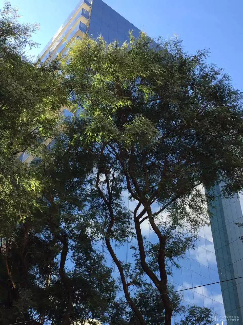 São Paulo - Office