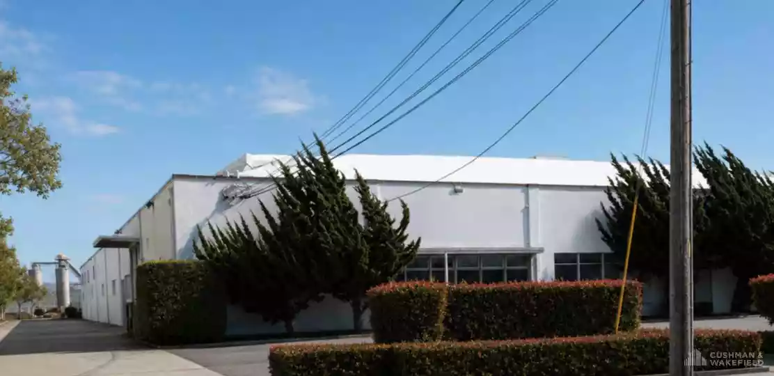 255 Maple