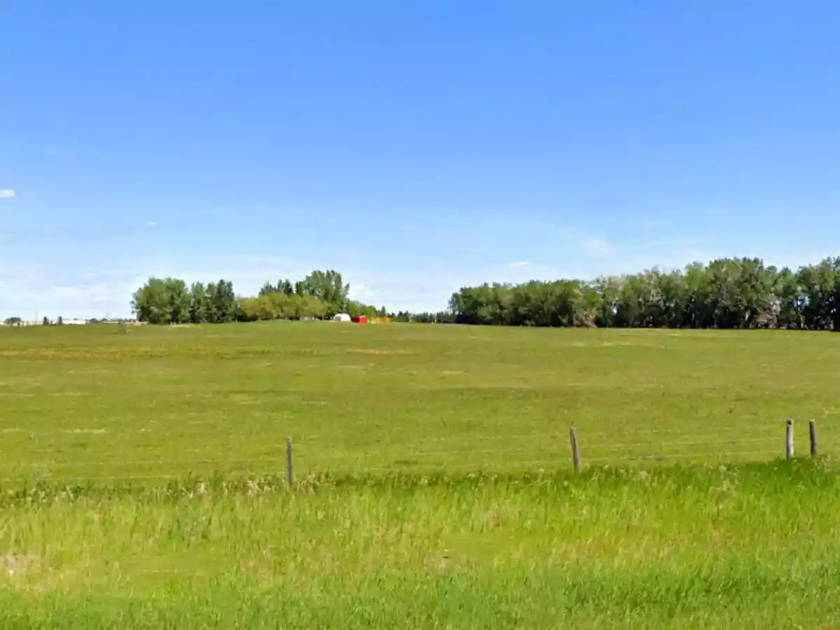 Site Photo