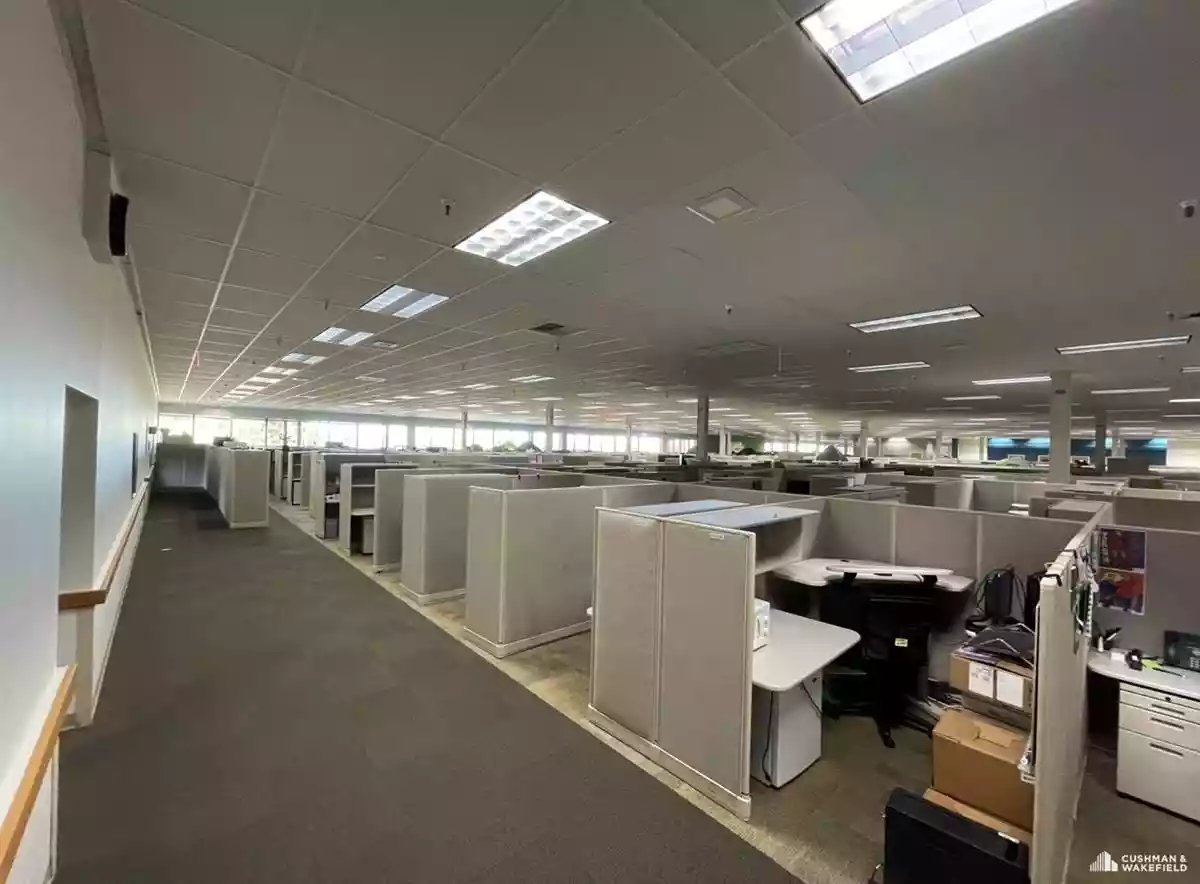 Fort Collins - Office